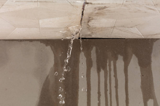 Professional Water Damage Repair technician working in Harveysburg, OH